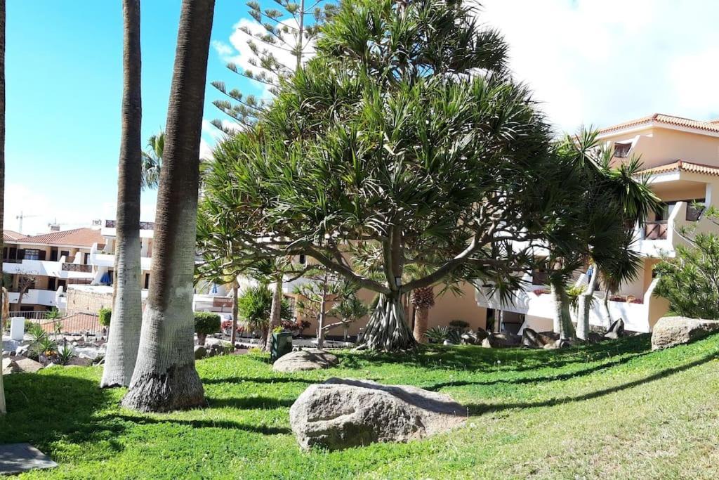Apartment With Pool And Gardens Near The Coast 圣米格尔德阿沃纳 外观 照片