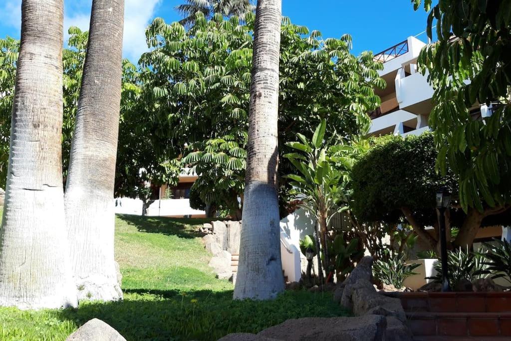 Apartment With Pool And Gardens Near The Coast 圣米格尔德阿沃纳 外观 照片